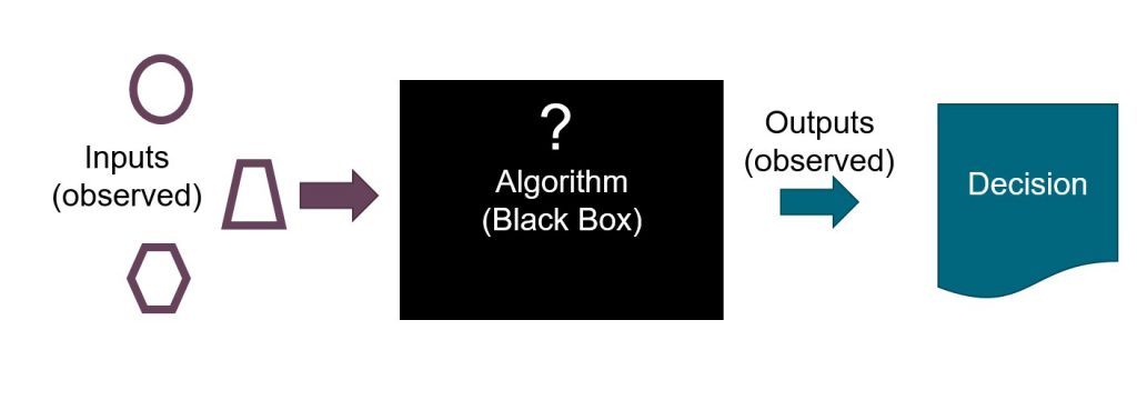 Bias And Algorithms. A Black Box Can Codify Bias